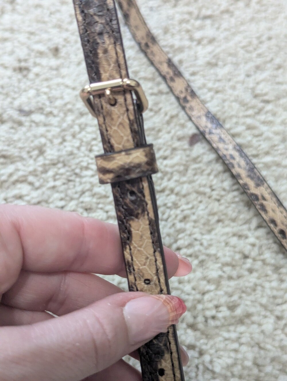 Coach Python Replacement Strap - Picture 2 of 5